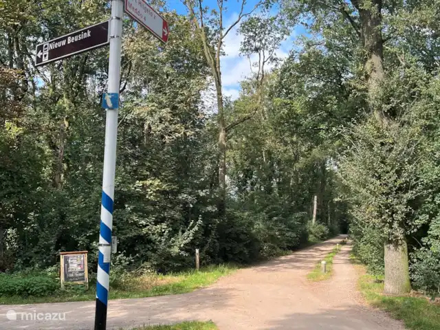 Bospad achter het huisje!
